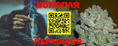 крисы Кингисепп
