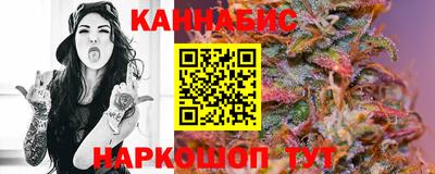 крисы Кингисепп