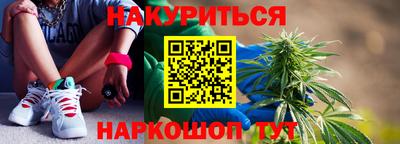 крисы Кингисепп