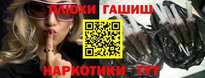 крисы Кингисепп