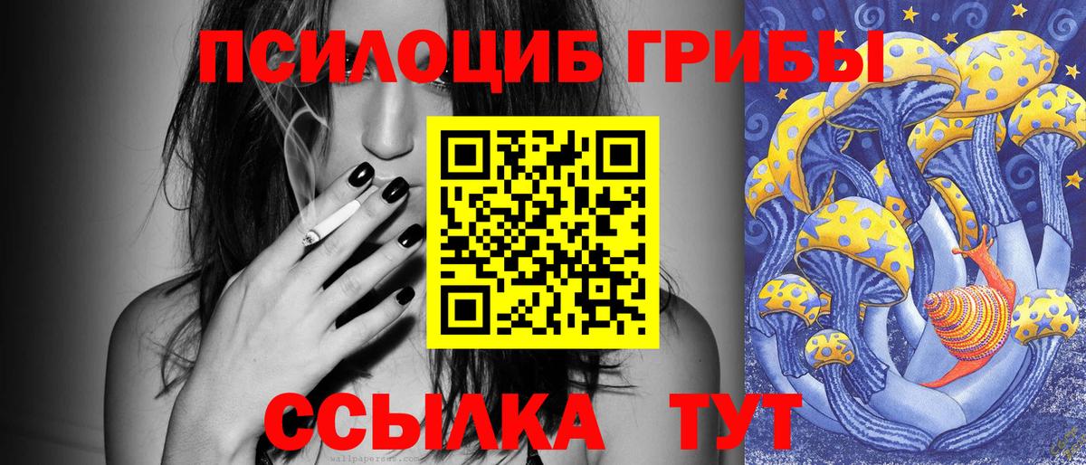 где купить наркоту  Вход с VPN  Шебекино  Галлюциногенные грибы мухоморы 